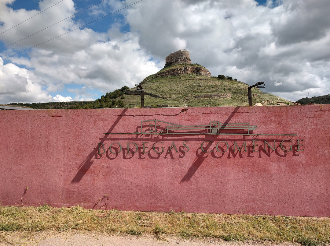 Bodegas Comenge景点图片