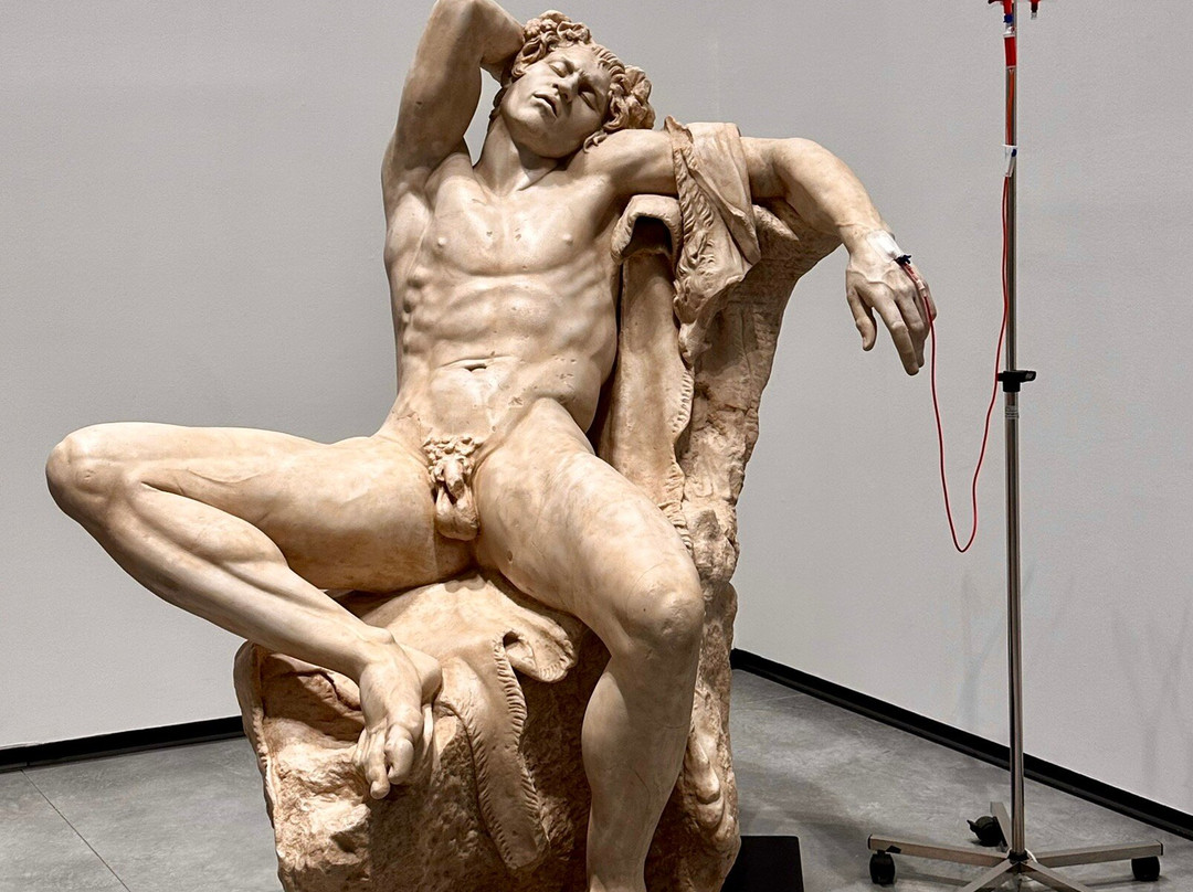 Museo De Arte Contemporáneo Helga De Alvear景点图片
