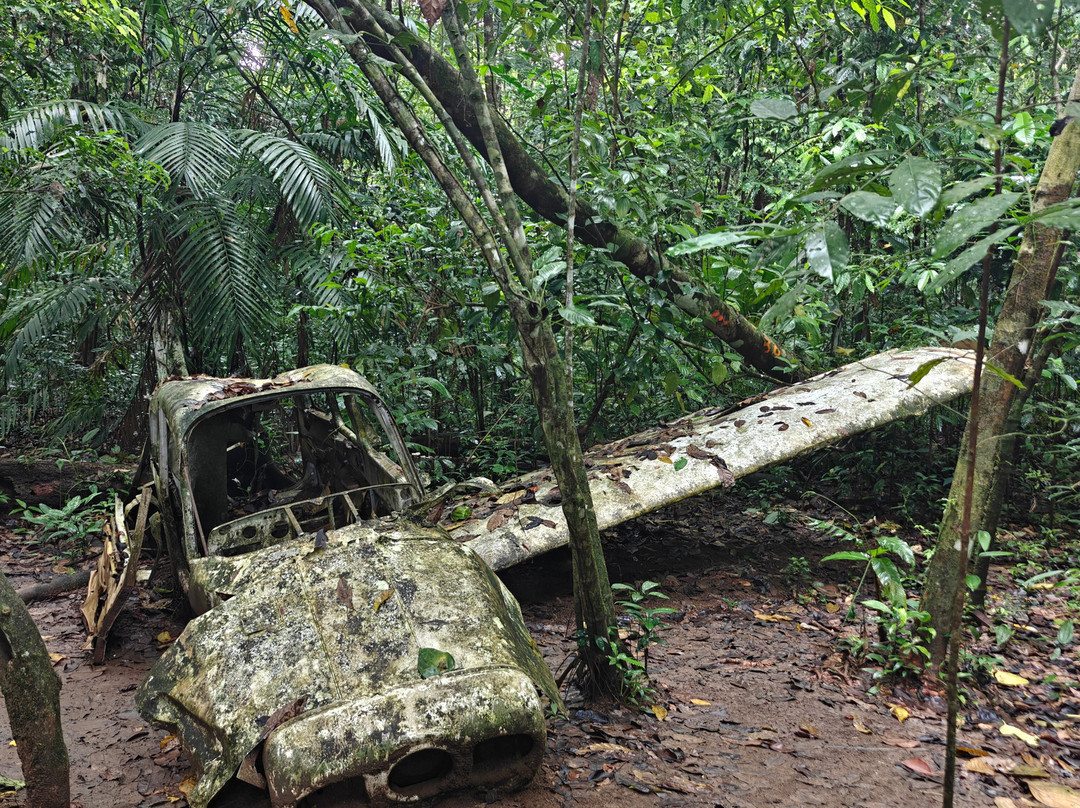 Jaguar Corcovado Tours景点图片