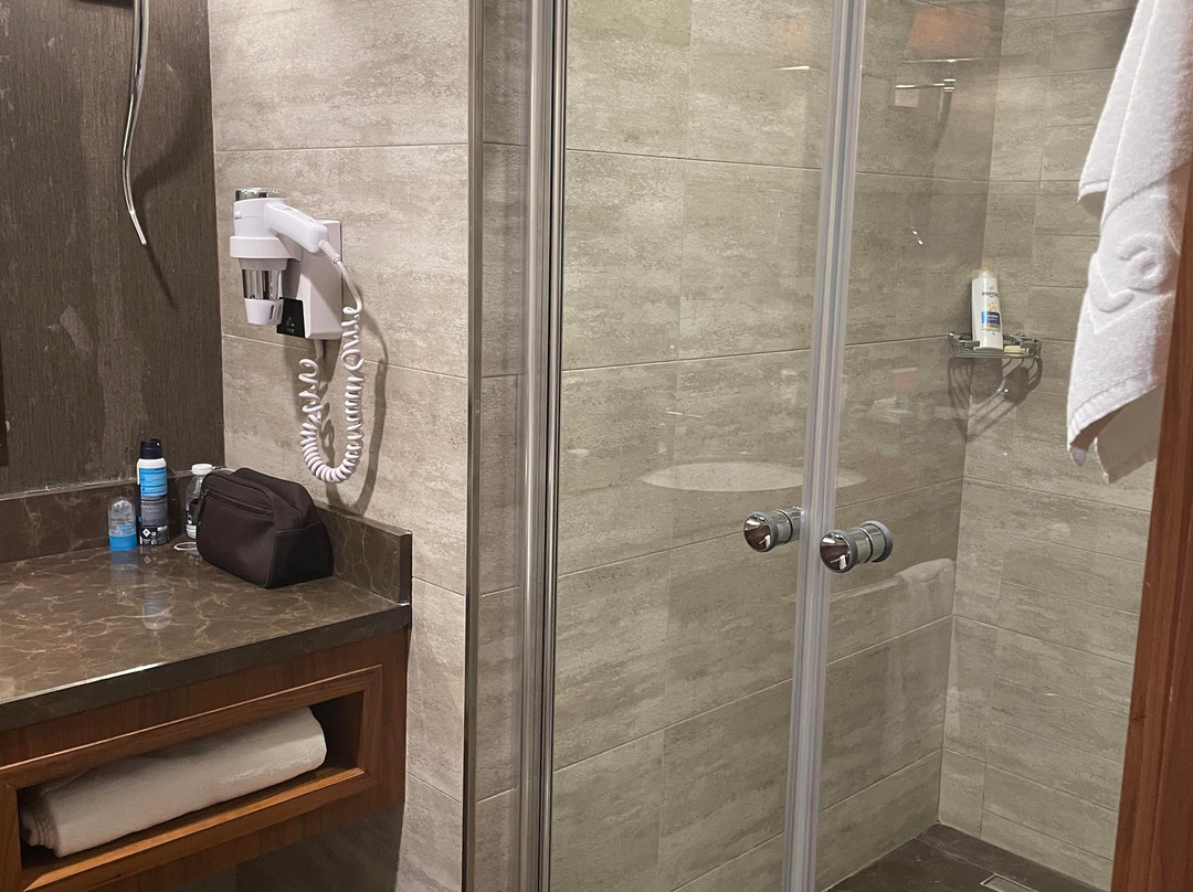 Laleh Park Hotel主图