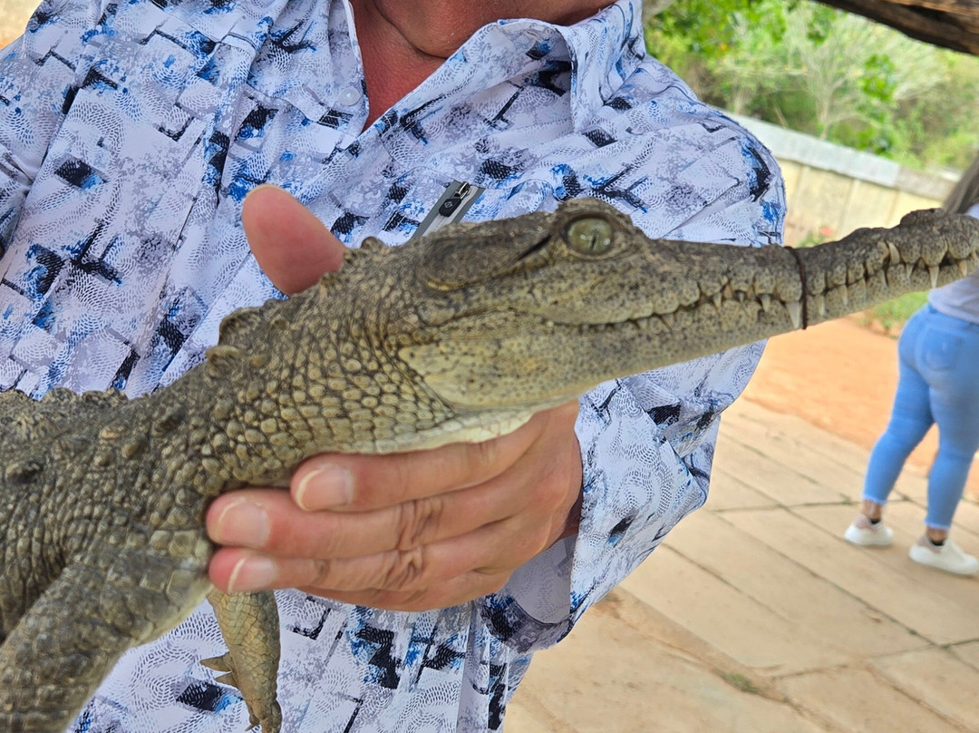 Crocodile Farm-Moron必去景点