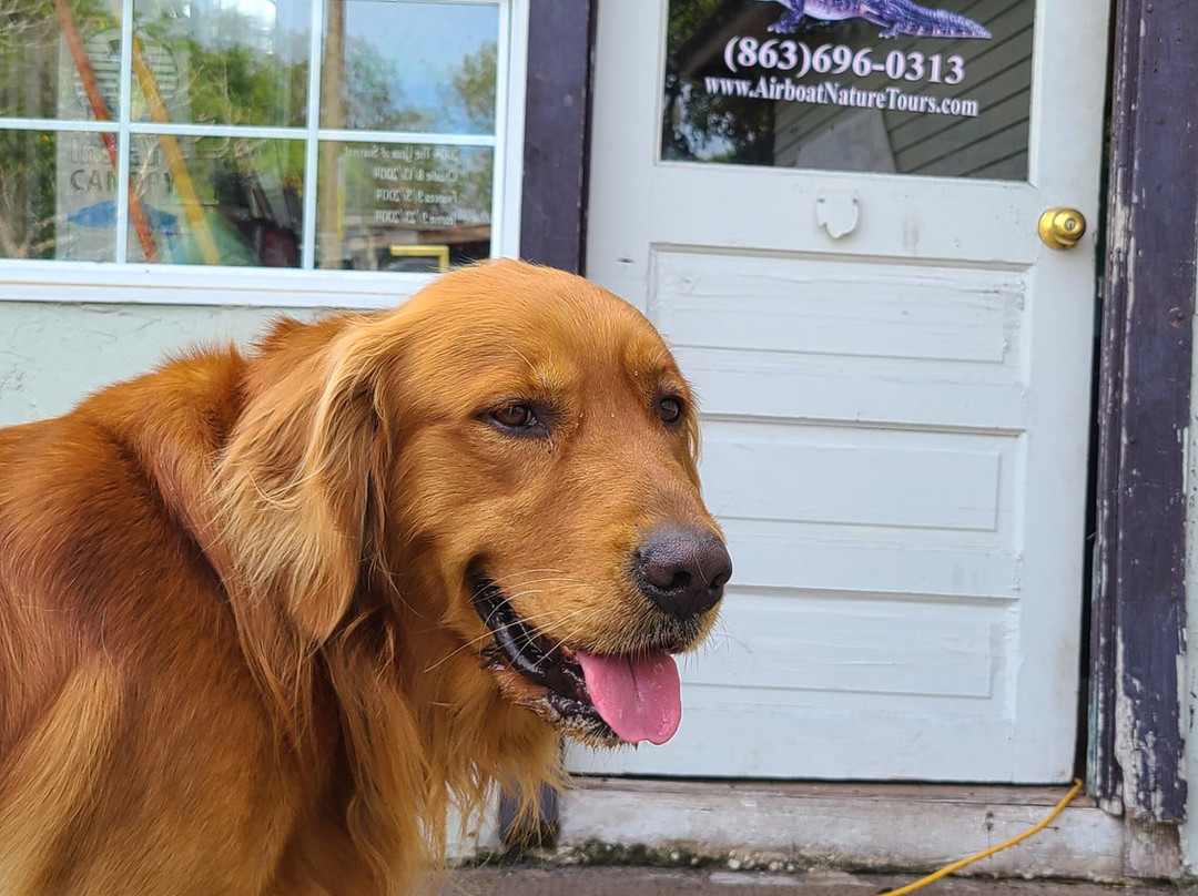 Alligator's Unlimited  Airboat Nature Tours-莱克威尔士必去景点