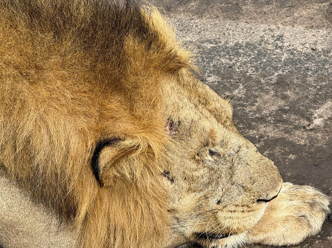 Great Adventures Uganda-坎帕拉必去景点