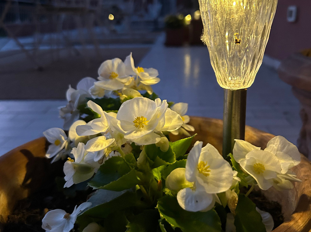 Villa House And Garden B&b主图
