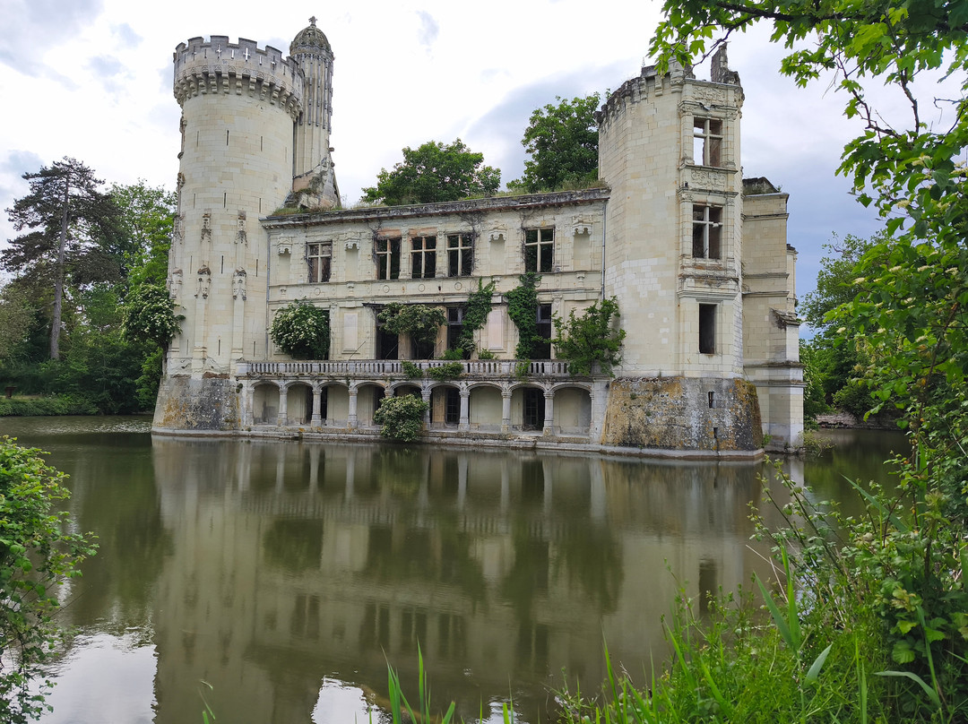 Château de la Mothe Chandeniers景点图片