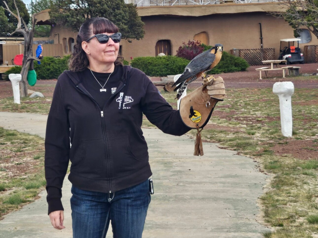Raptor Ranch-威廉姆斯必去景点