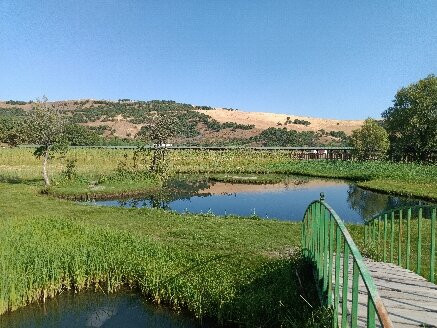 Yuzen Ada-Bingol必去景点