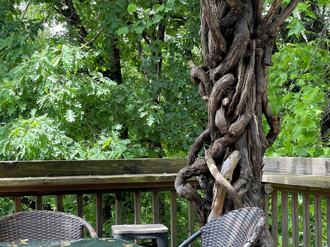 Cavender Creek Vineyards and Winery-达洛尼加必去景点