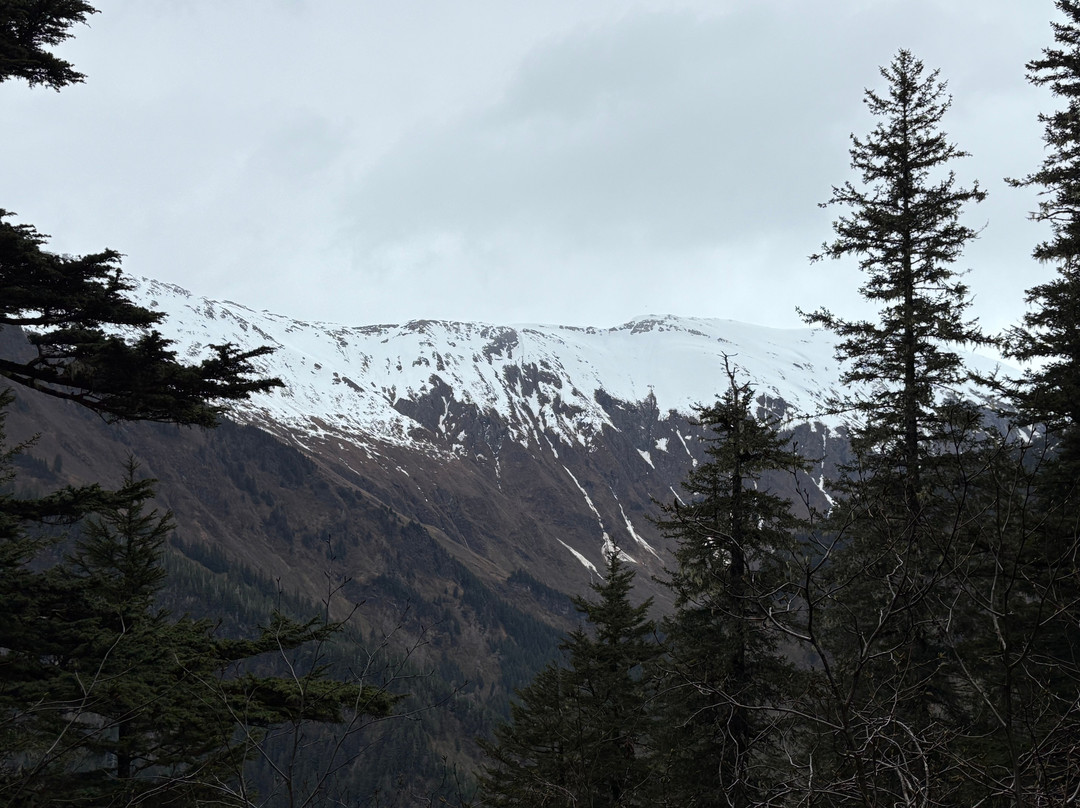 Mount Roberts Trail-朱诺必去景点