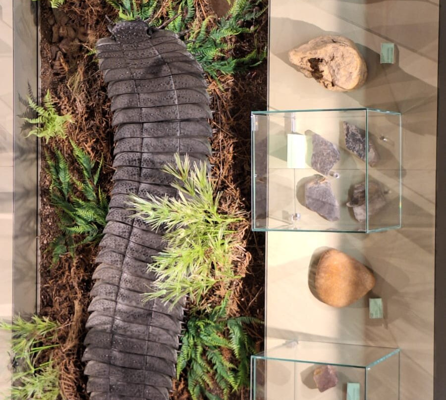 Museo Dei Paleoambienti Sulcitani-Carbonia必去景点