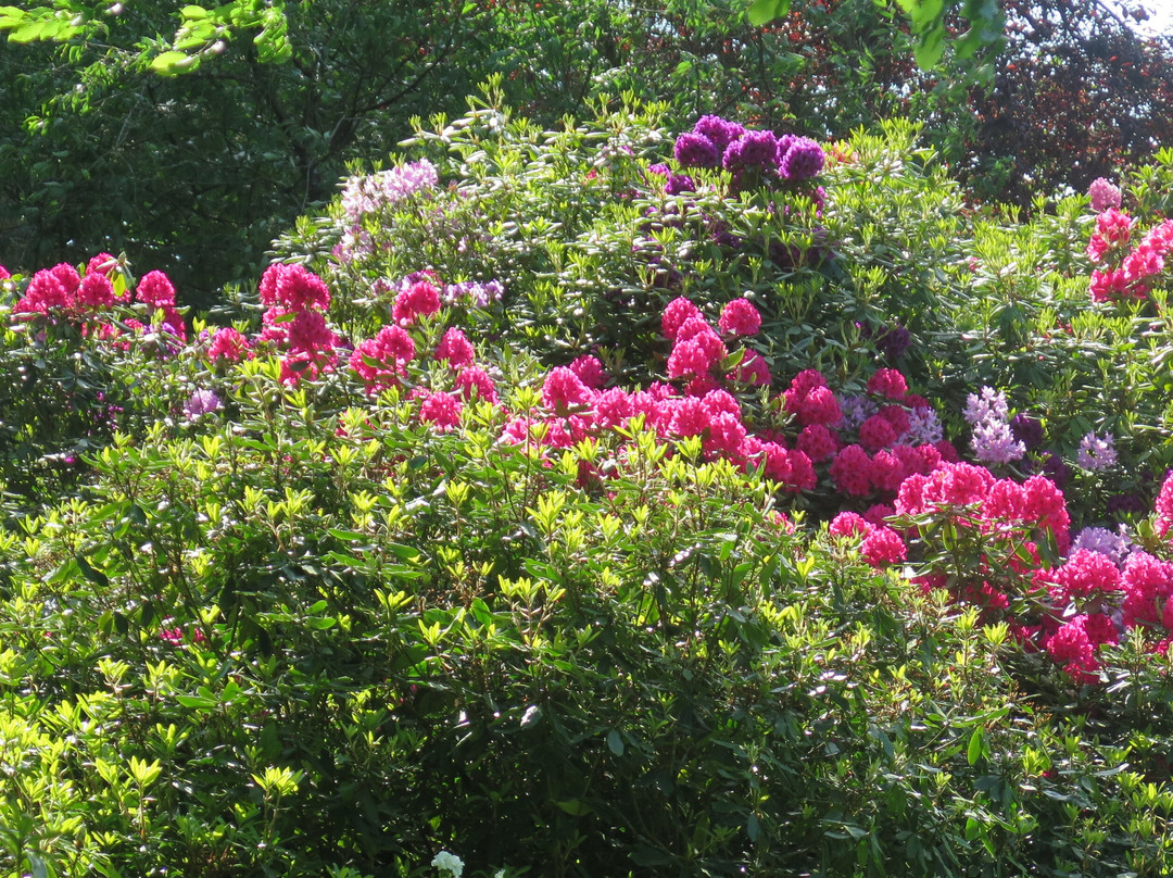 Jardin de la Duchaylatiere-Lanneray必去景点