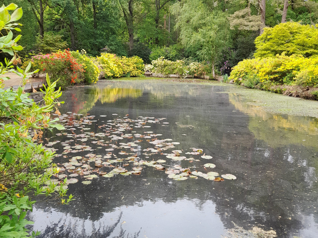 Stody Lodge Gardens景点图片