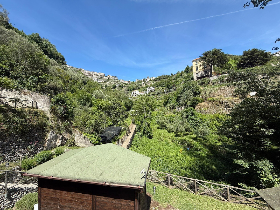 Parco del Dragone