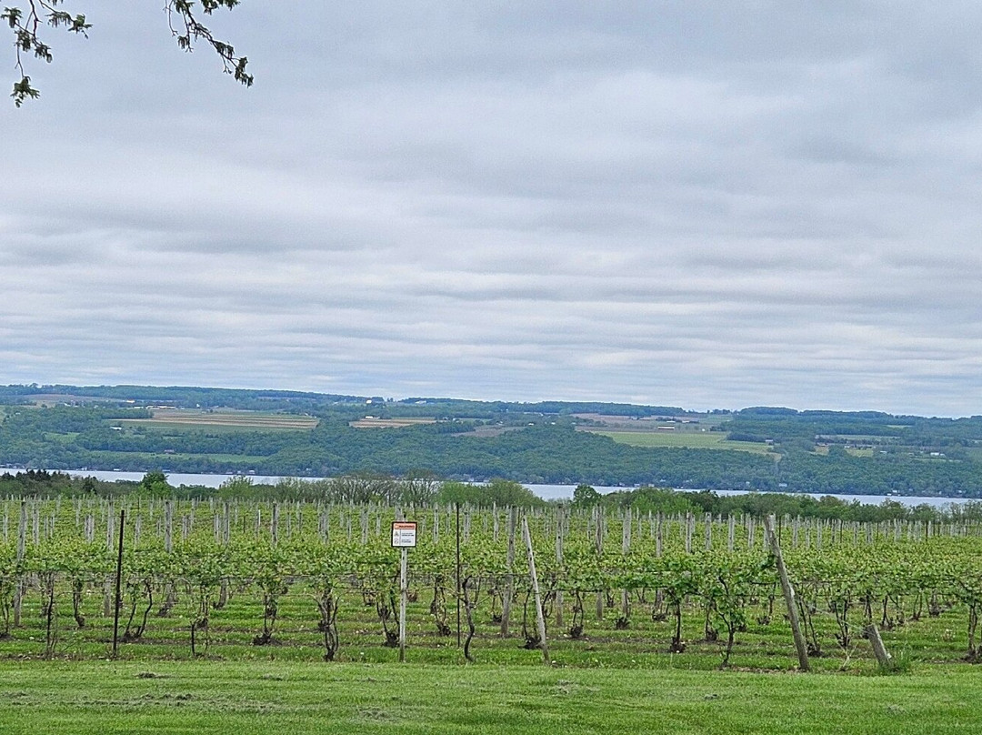 Airy Acres Vineyard-Interlaken必去景点