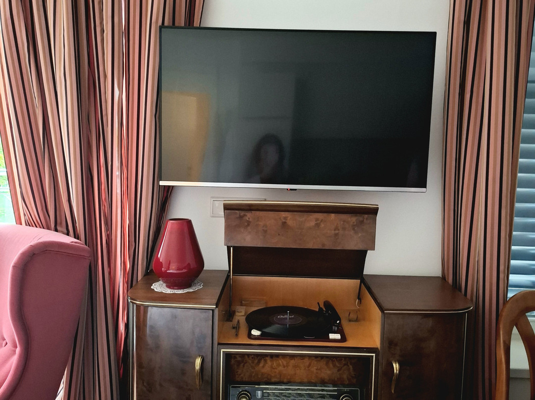 Design Hotel Vosteen主图