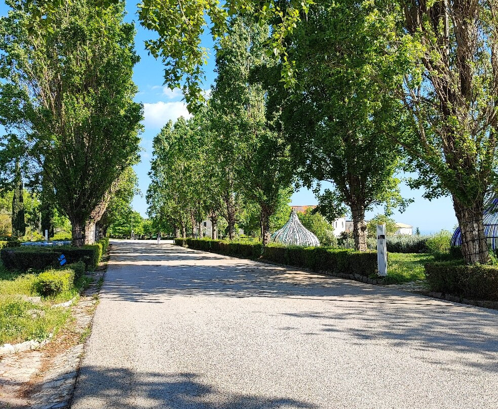 Parco della Biodiversita Mediterranea景点图片