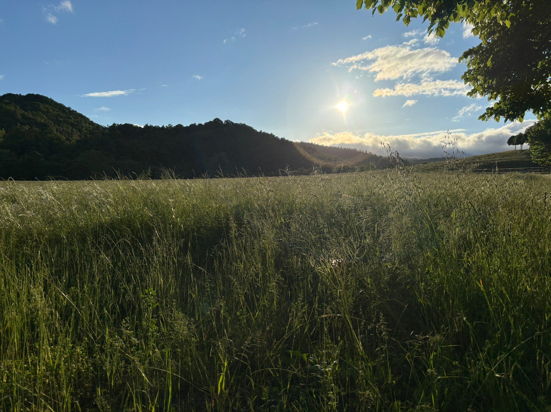 Agriturismo Pian d'Isola主图