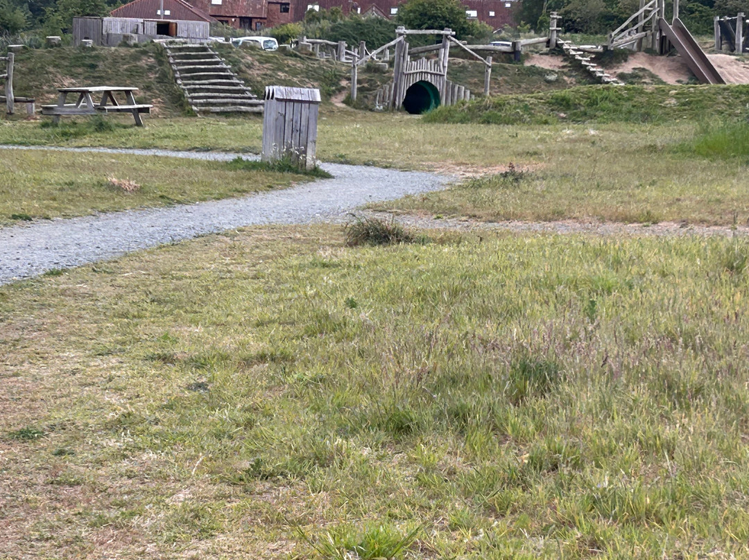 Carlton Marshes Nature Reserve-Carlton Colville必去景点