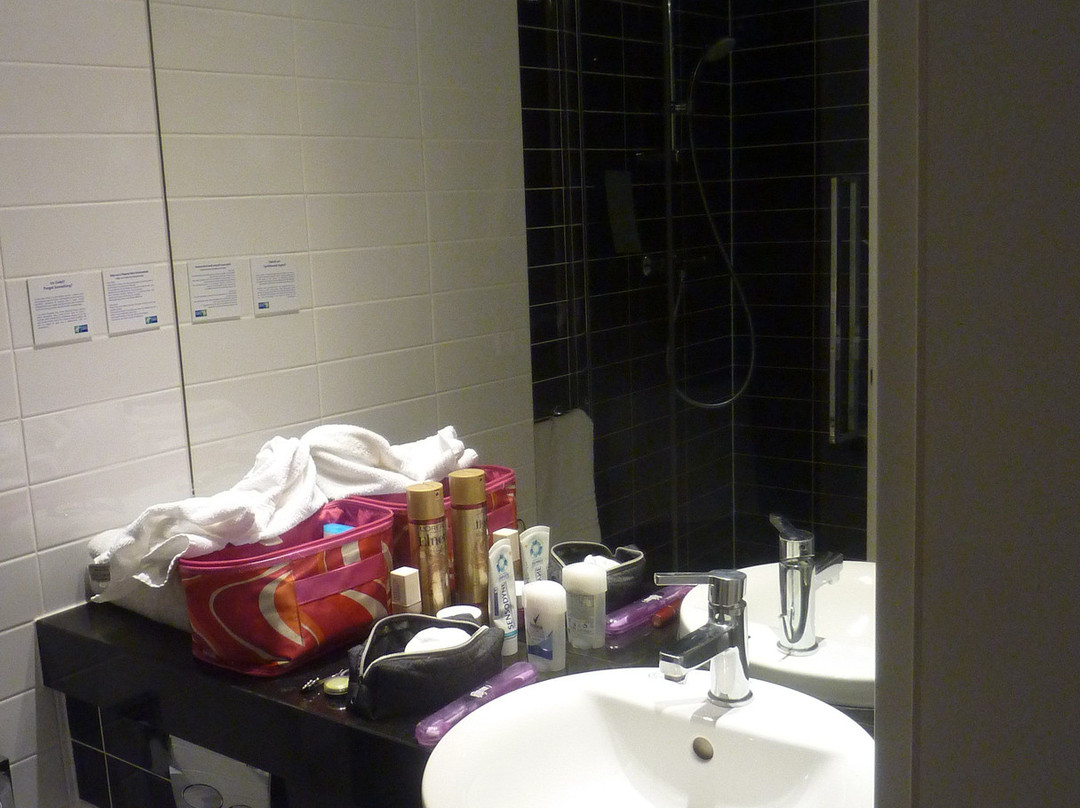 Holiday Inn Express Strasbourg - Sud By IHG主图