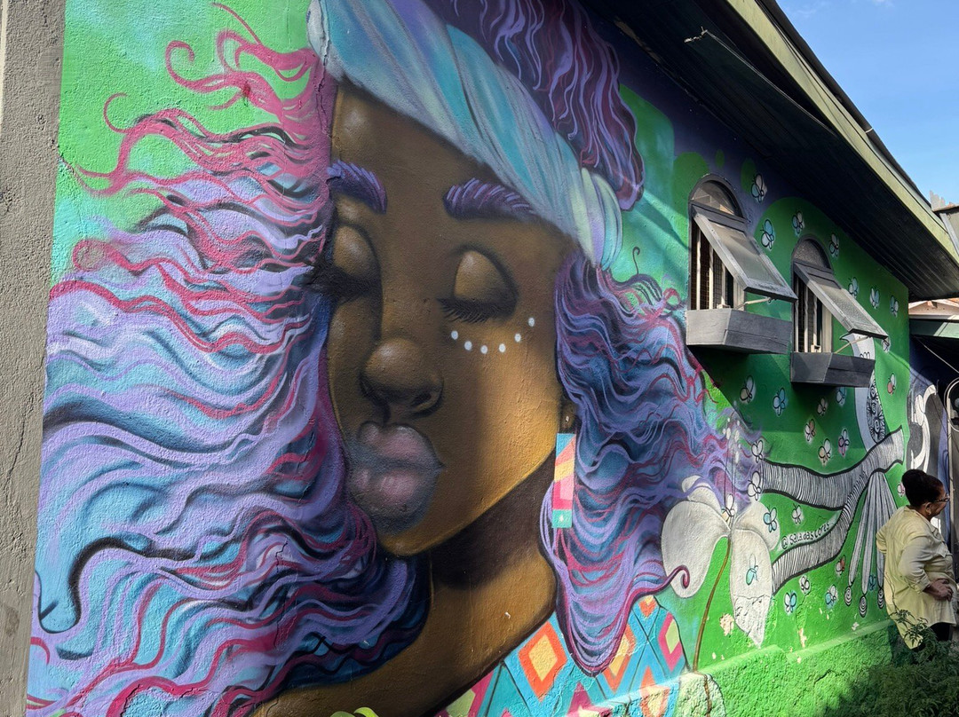 Viela das Lavadeiras-恩布必去景点