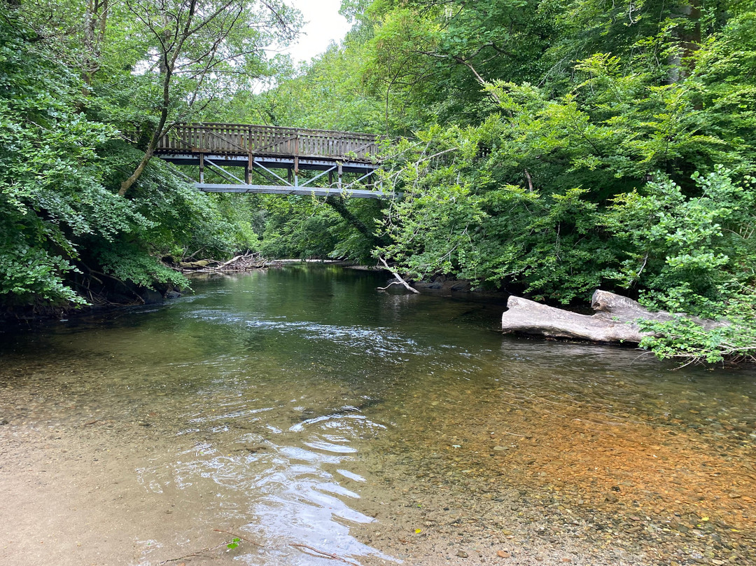 Plymbridge Woods-普利茅斯必去景点