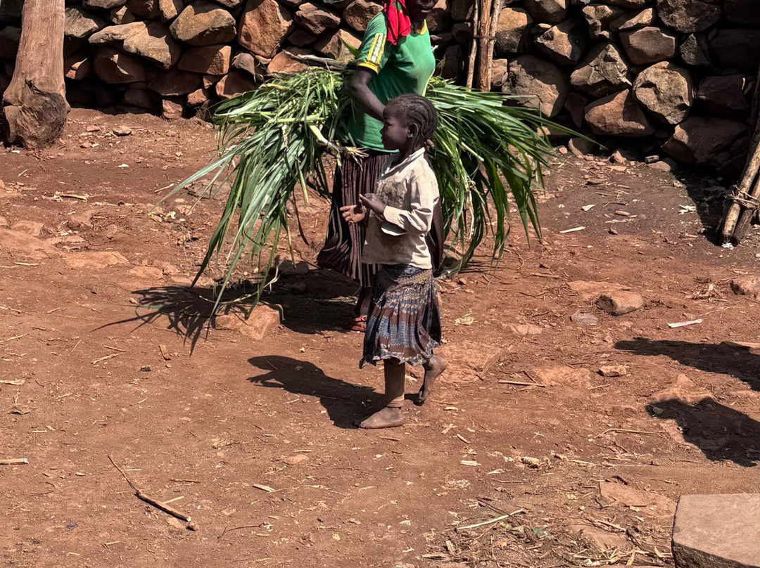 Farus Ethiopia Tours景点图片