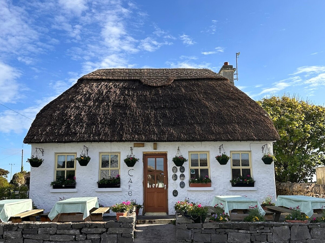 Failte Bus Tour-Inishmore必去景点