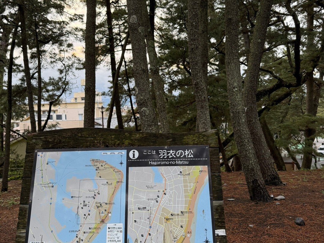 三保海岸（三保之松原海滩）景点图片
