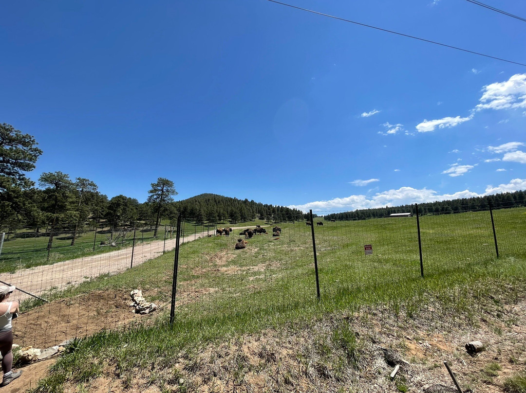 Genesee Park-丹佛必去景点