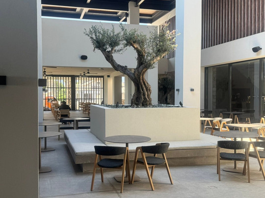 Mosay All Suite Hotel主图