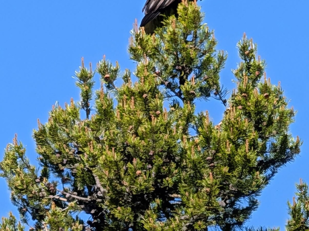 科尔特湾村酒店主图