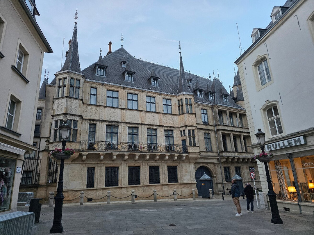 Grand Ducal Palacea景点图片