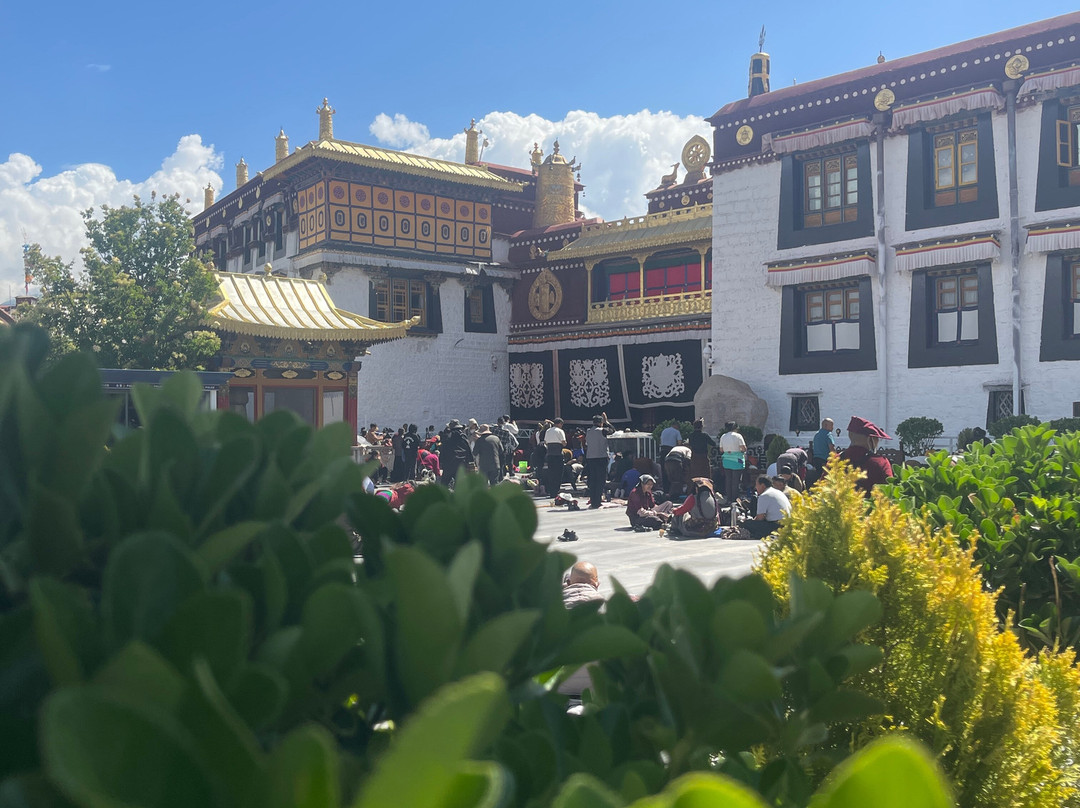 Xizang Ctrip Travel Service-TCTS-拉萨市必去景点