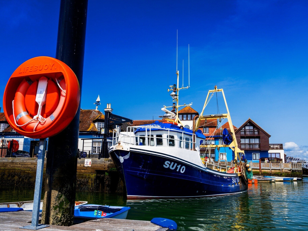 Puffin Cruises Lymington景点图片