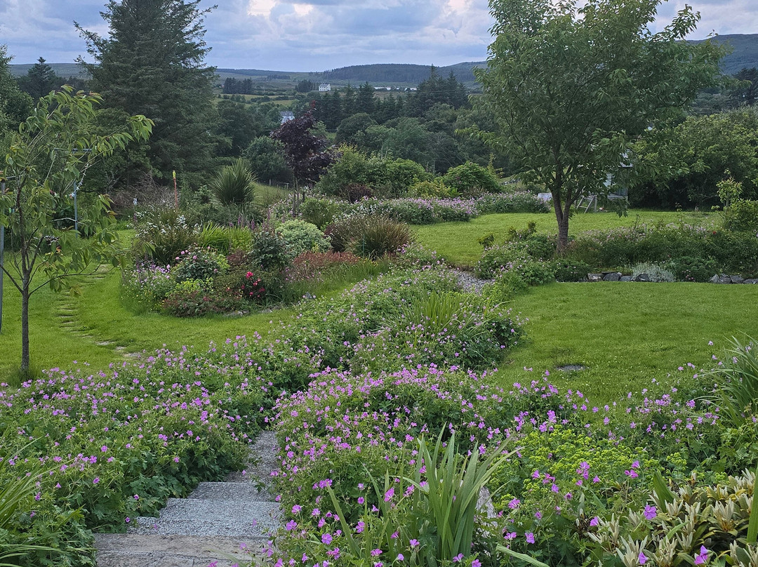 Brook Lodge B&B主图