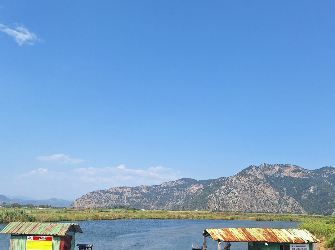 Dalyan Tekne Kooperatifi-达利安必去景点