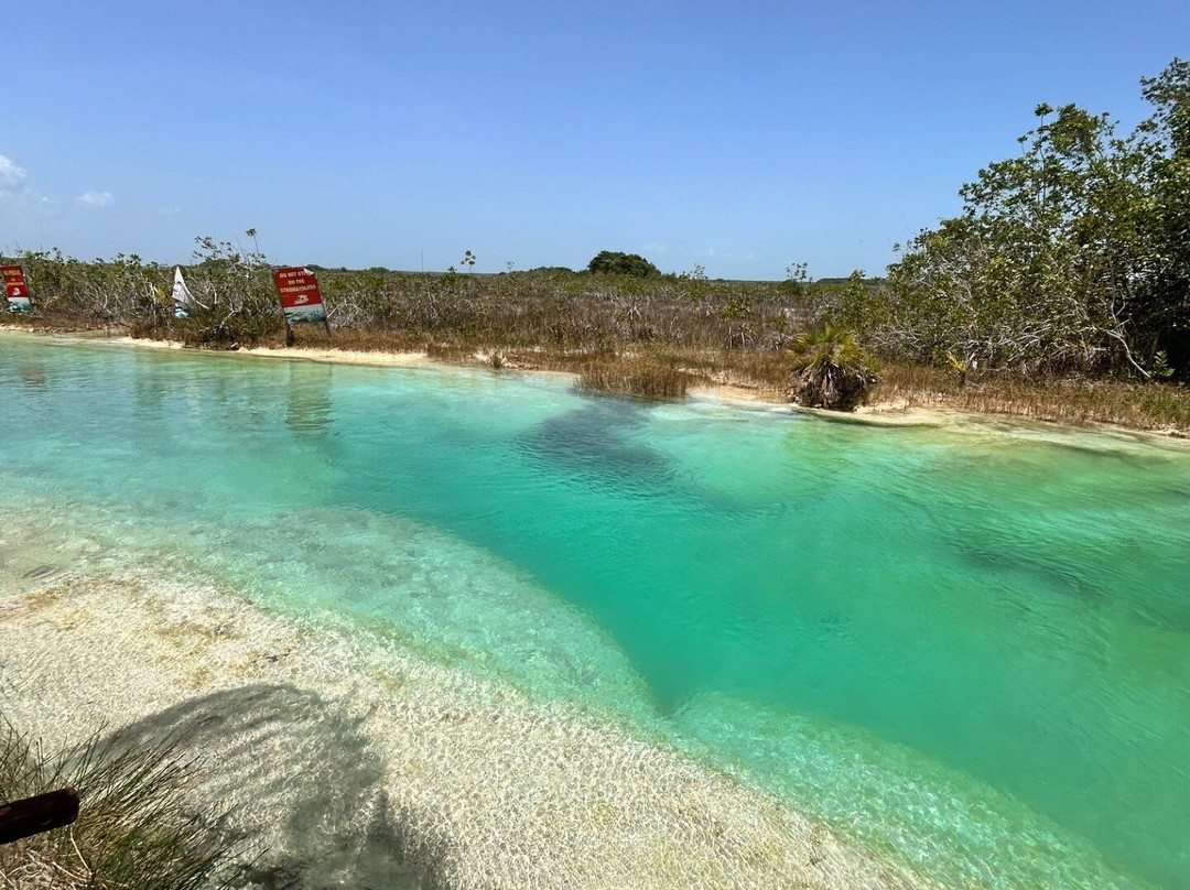 Stromatolites in Bacalar Rapids-Bacalar必去景点