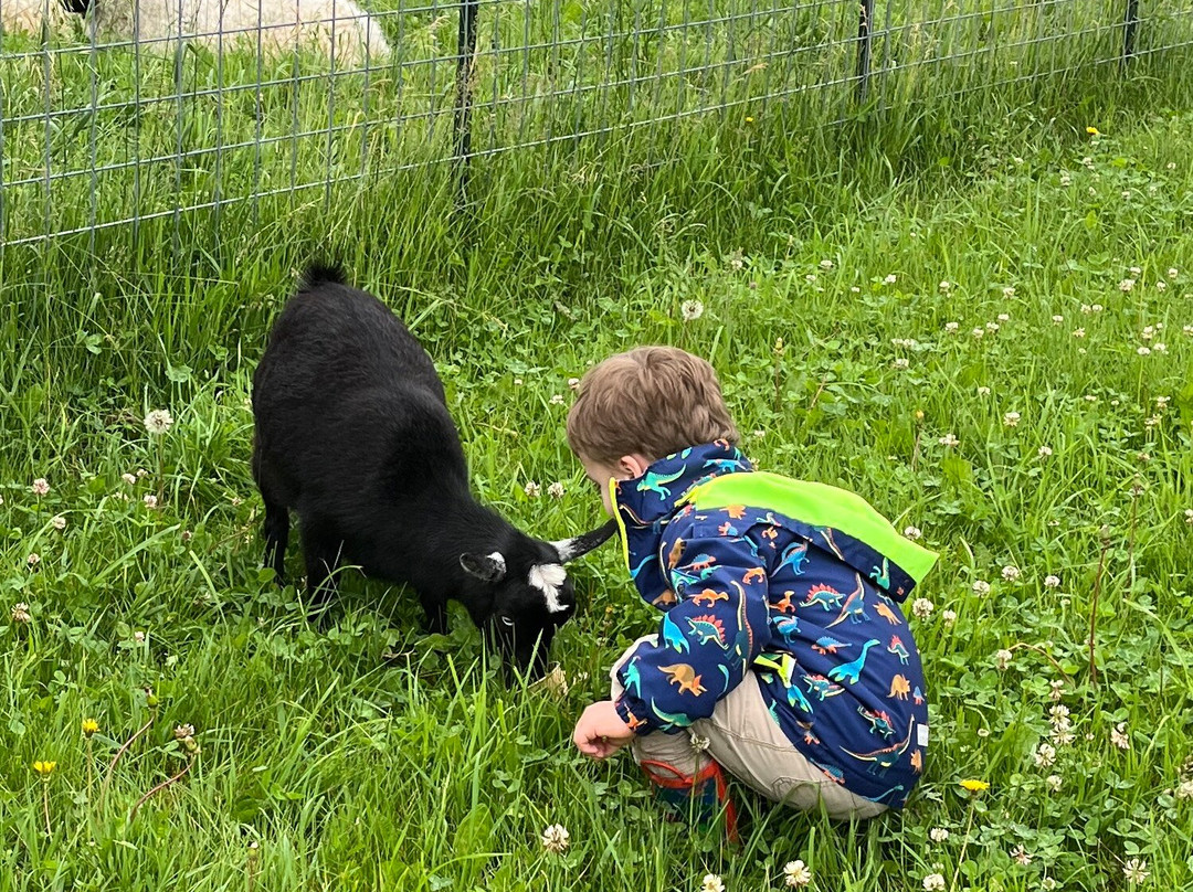 Eagle Eye Farm-River Falls必去景点