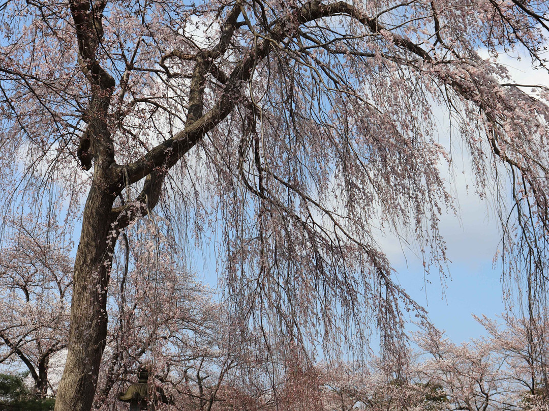 Takada Park-上越市必去景点