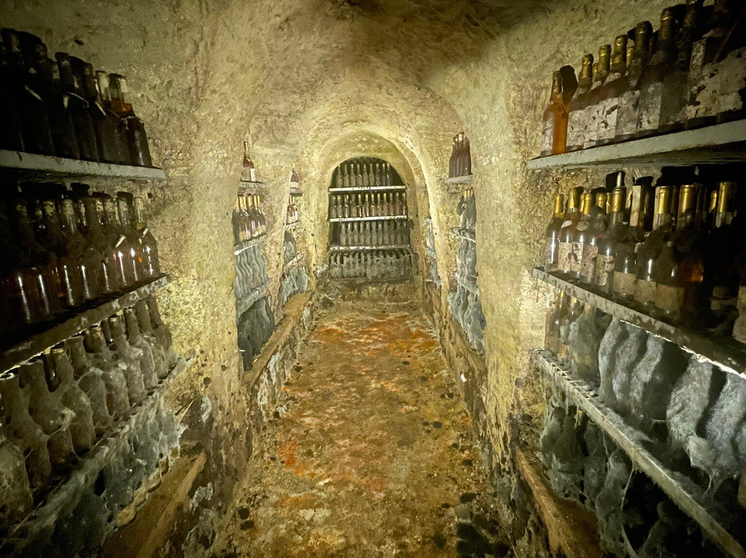 Tokaj Macik winery-Mala Trna必去景点