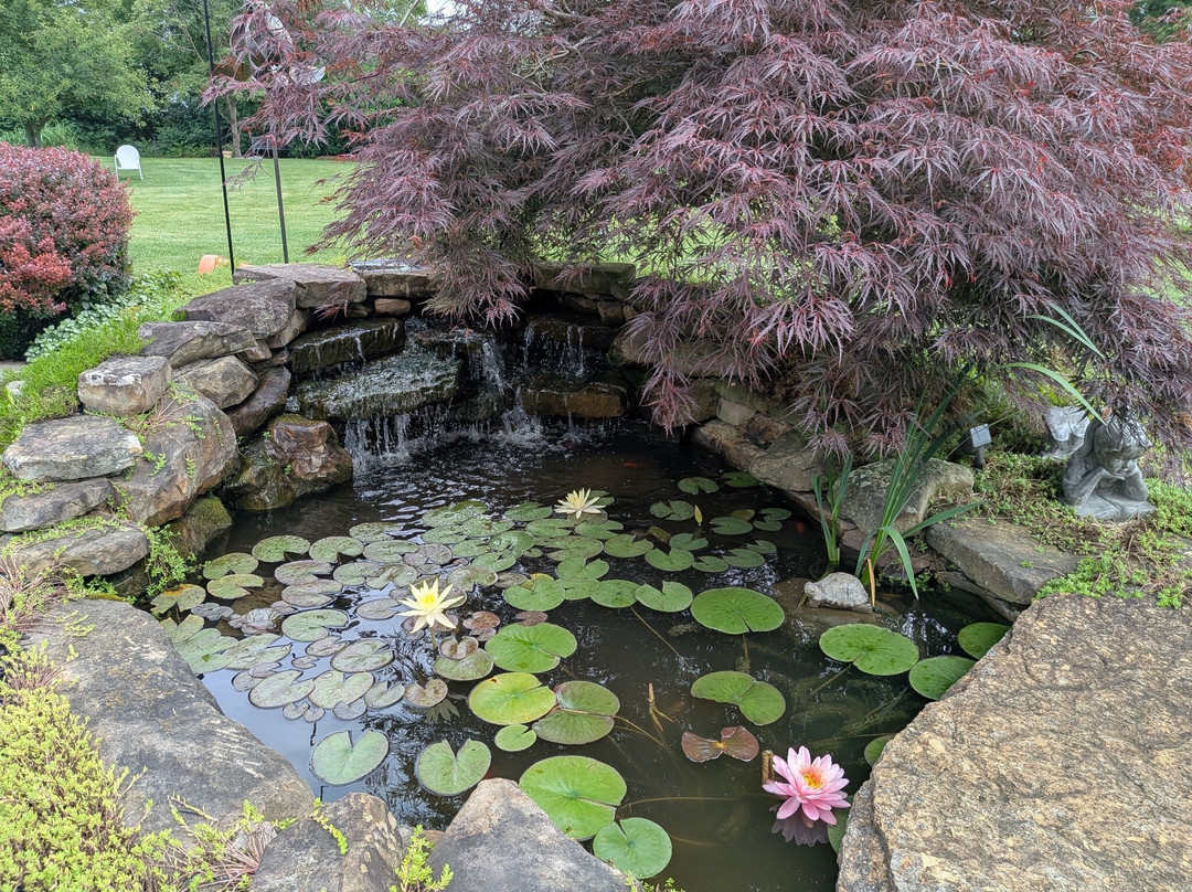 Lebanon Garden Tour And Scavenger Hunt-Lebanon必去景点