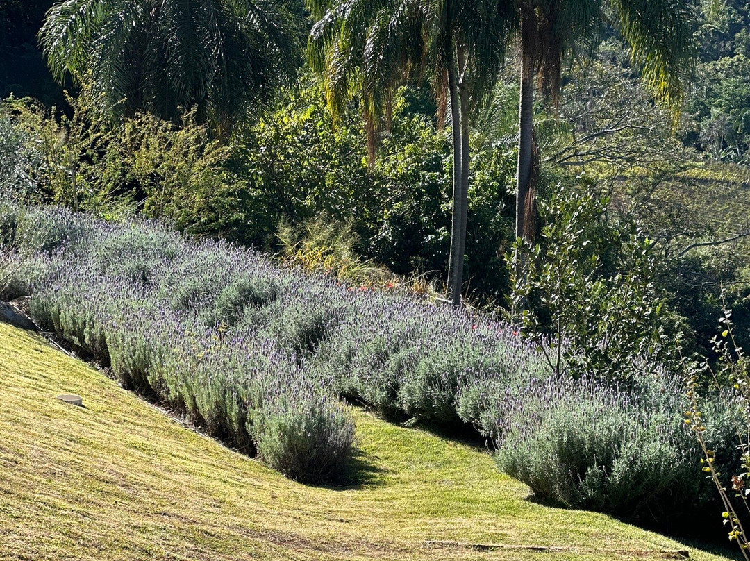 Vinícola Merum-Espirito Santo Do Pinhal必去景点