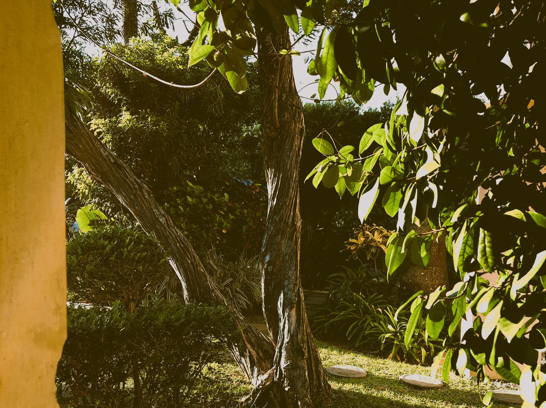 Petite Provence B&b主图