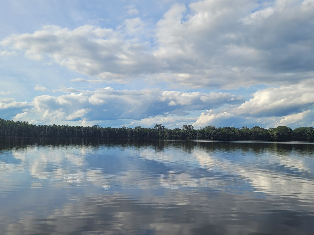 Lago Sandoval-Tambopata National Reserve必去景点