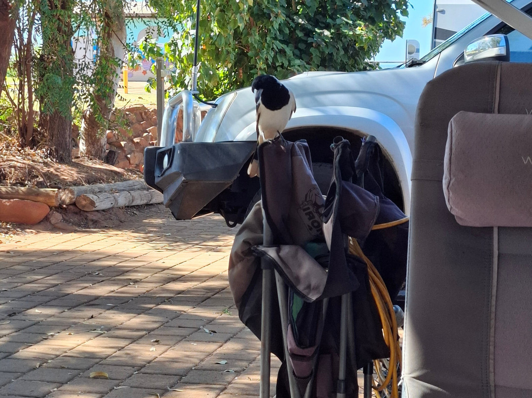 Samson Beach Chalets主图