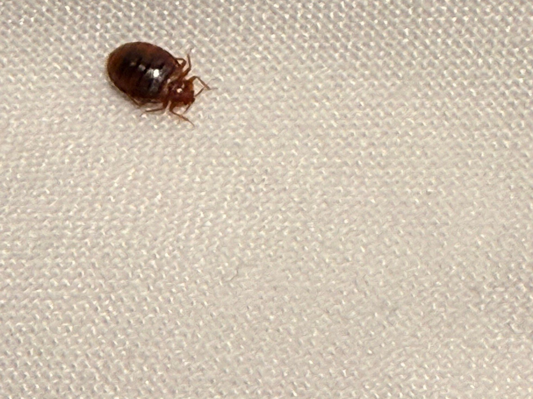 Days Inn by Wyndham Lisbon主图