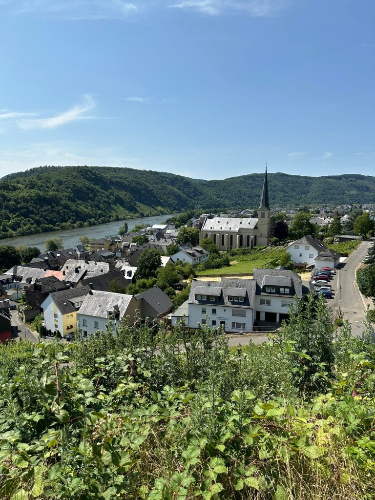 Weingut Staffelter Hof-官方