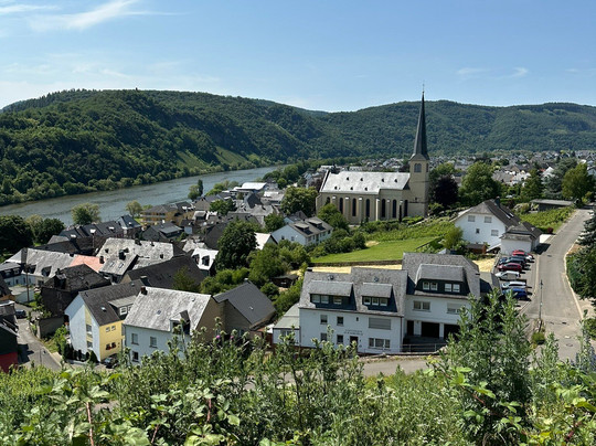 Weingut Staffelter Hof主图