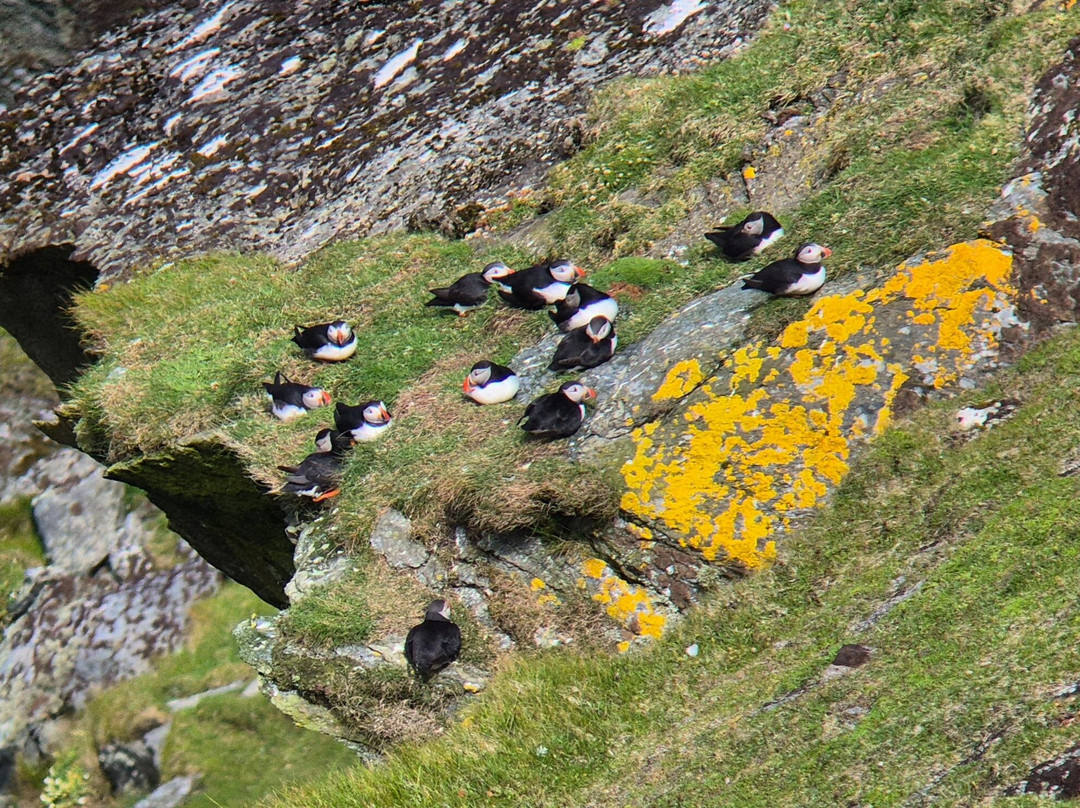 Shetland Nature-Unst必去景点