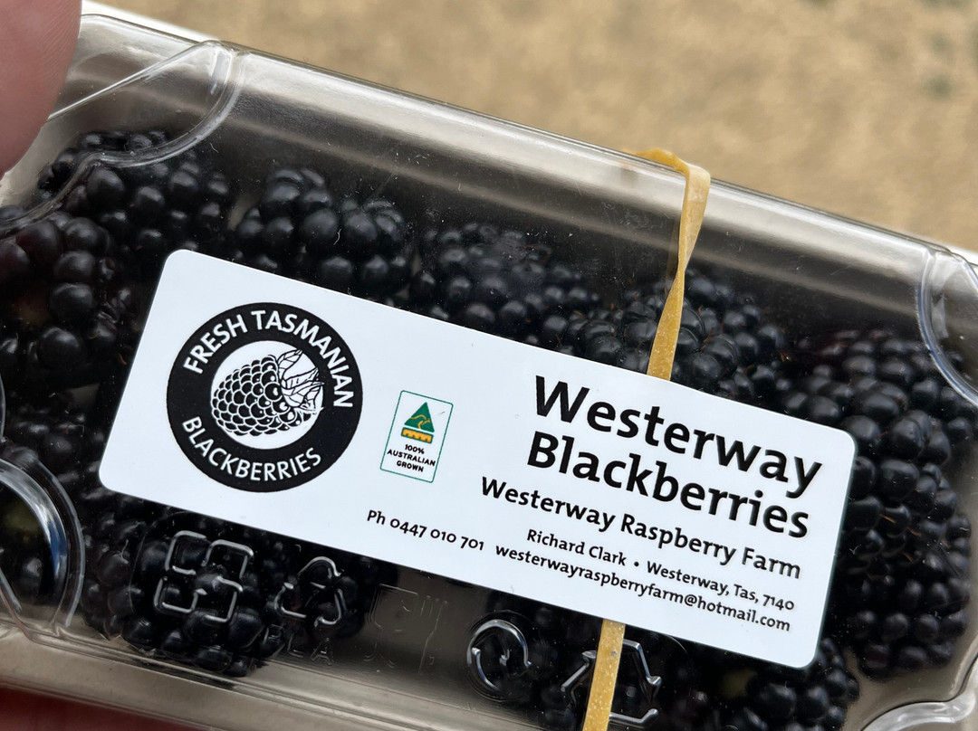 The Westerway Raspberry Farm-Westerway必去景点